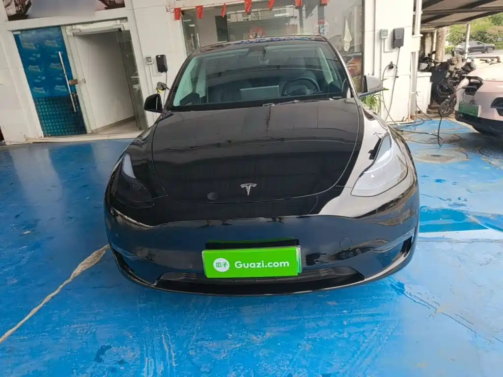 Tesla Model Y — миниатюра 3