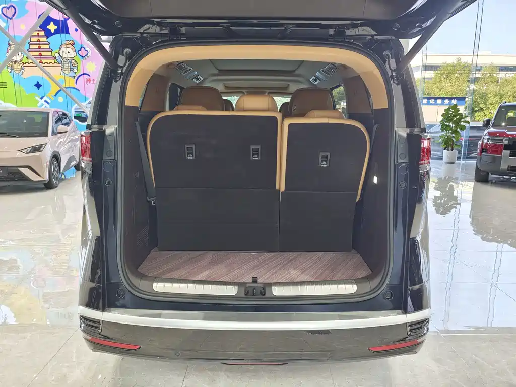 Denza Denza D9 — миниатюра 17