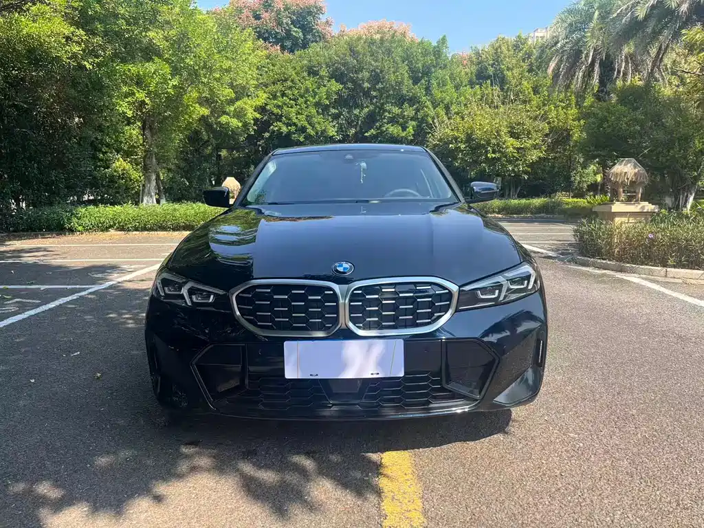 BMW 3 Series — миниатюра 2