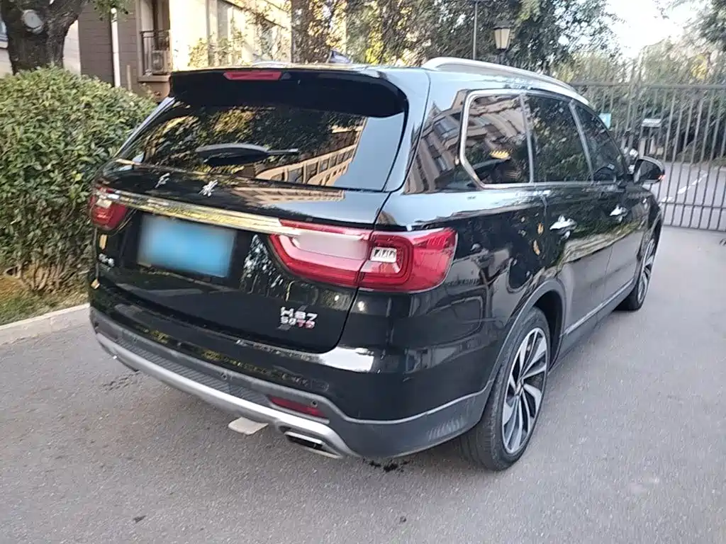Hongqi Hongqi HS7 — миниатюра 7