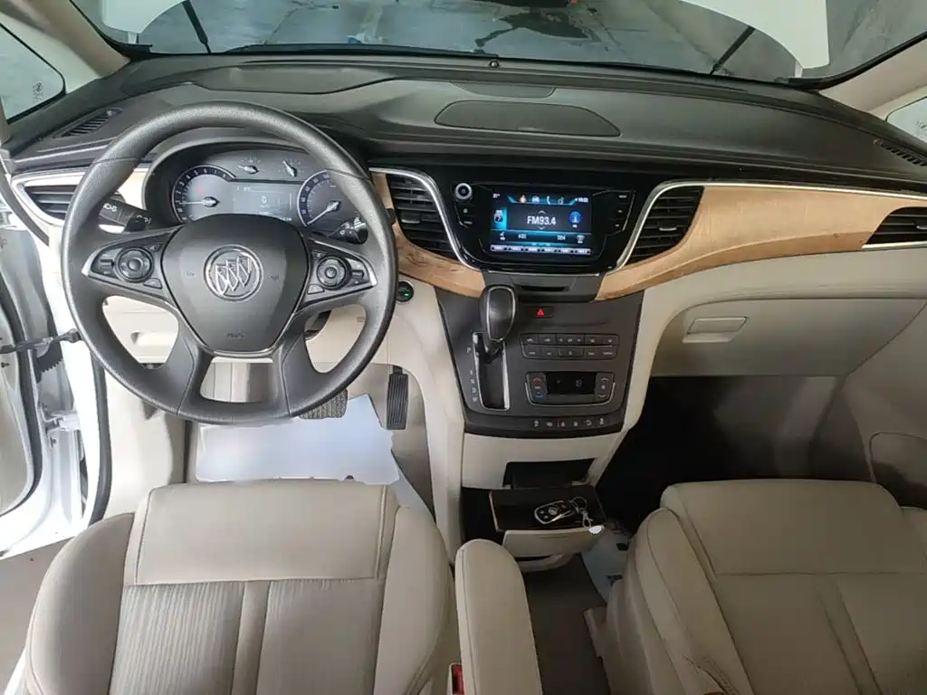 Buick GL8 — миниатюра 10