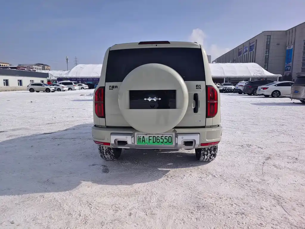 FANG CHENG BAO LEOPARD 5