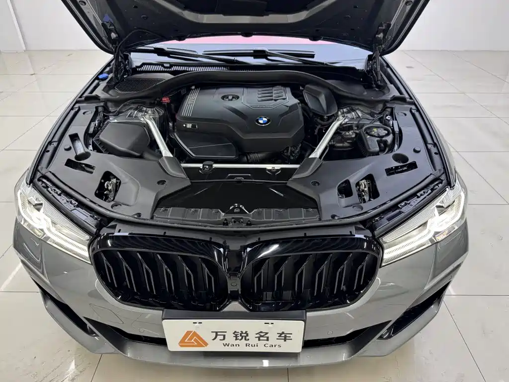 BMW 5 Series (Import) — миниатюра 19