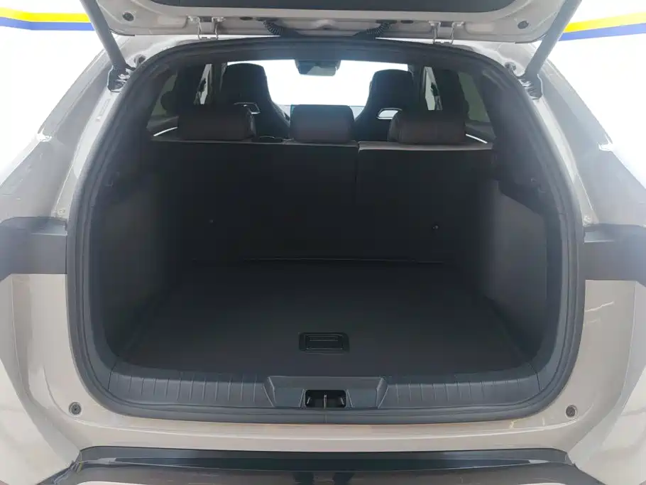 BYD PLUS New Energy — миниатюра 4