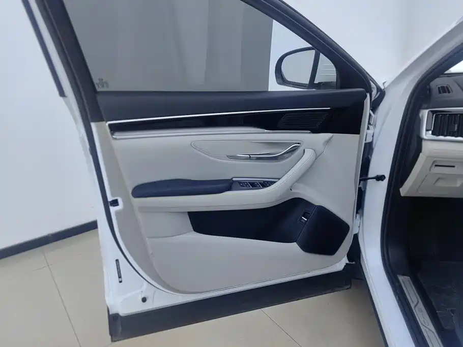 BYD PLUS New Energy — миниатюра 7