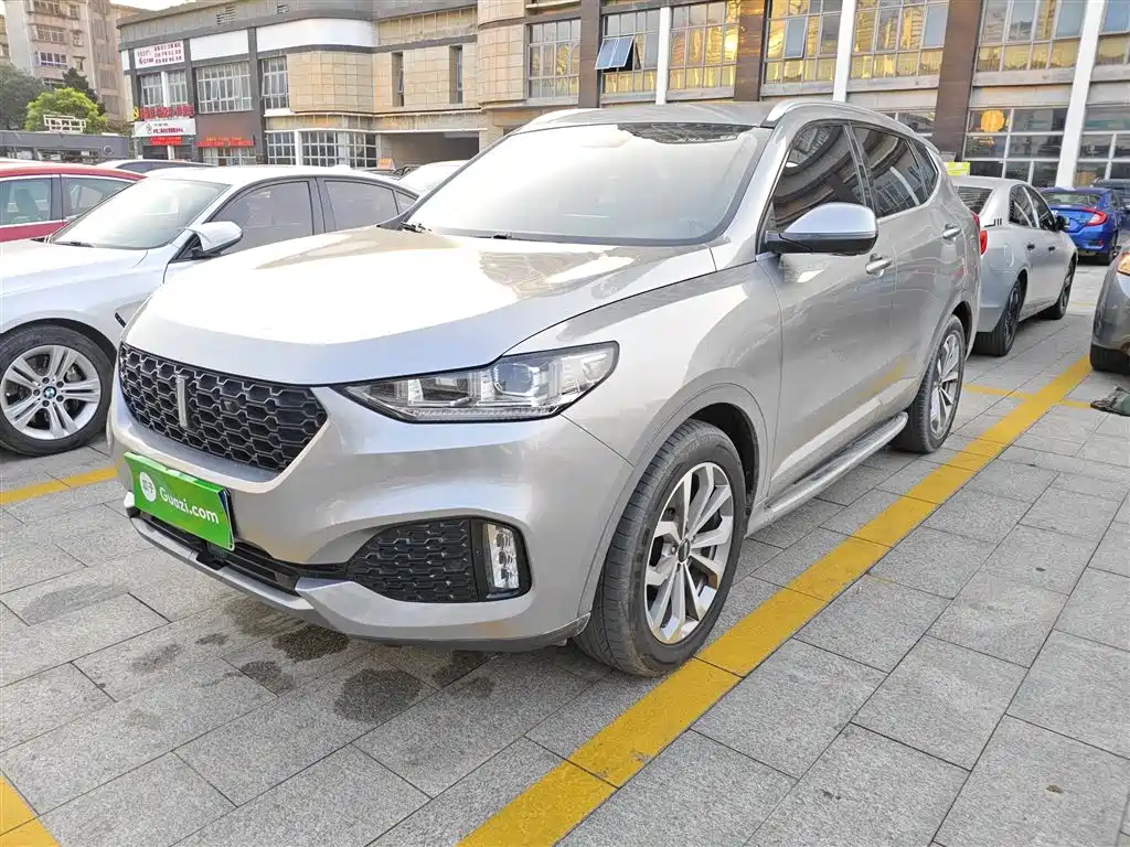 Wey Wey VV6 2019