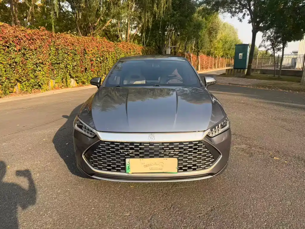 BYD Qin PLUS — миниатюра 3