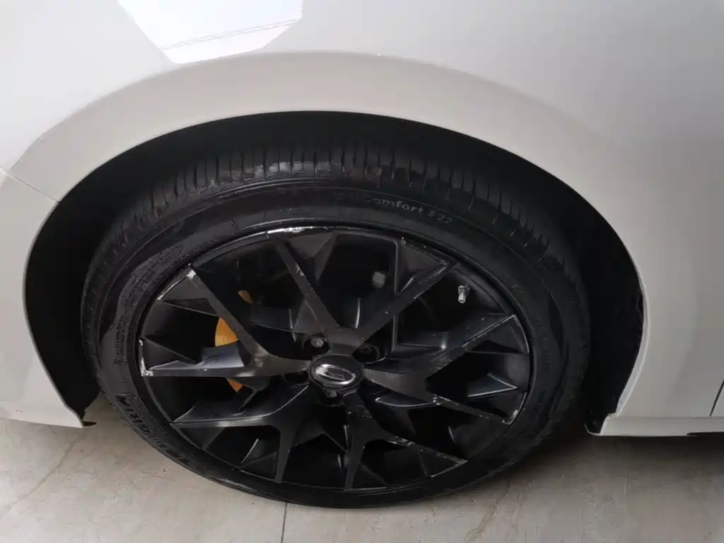 GAC Motor Shadow Leopard — миниатюра 23