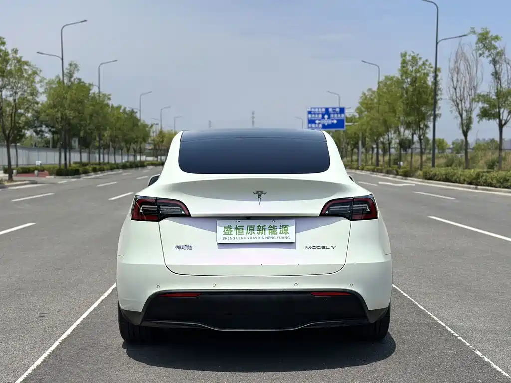 Tesla Model Y — фотографии объявления, Фото 11