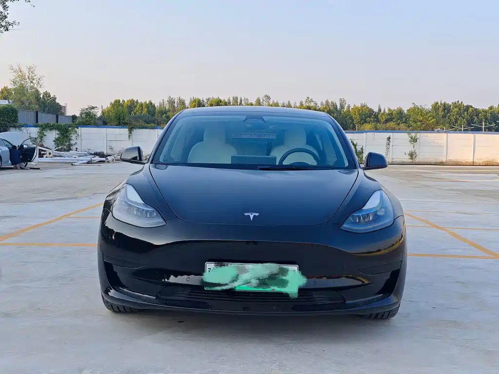Tesla Model 3 — миниатюра 2