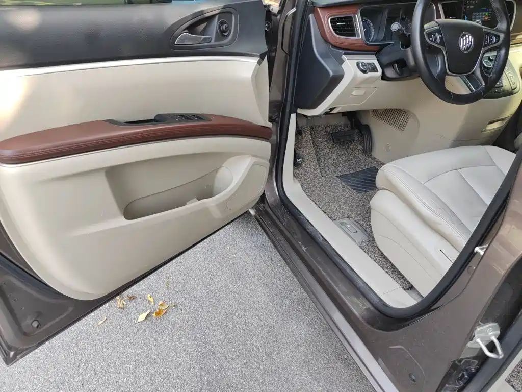 Buick GL8 — миниатюра 12