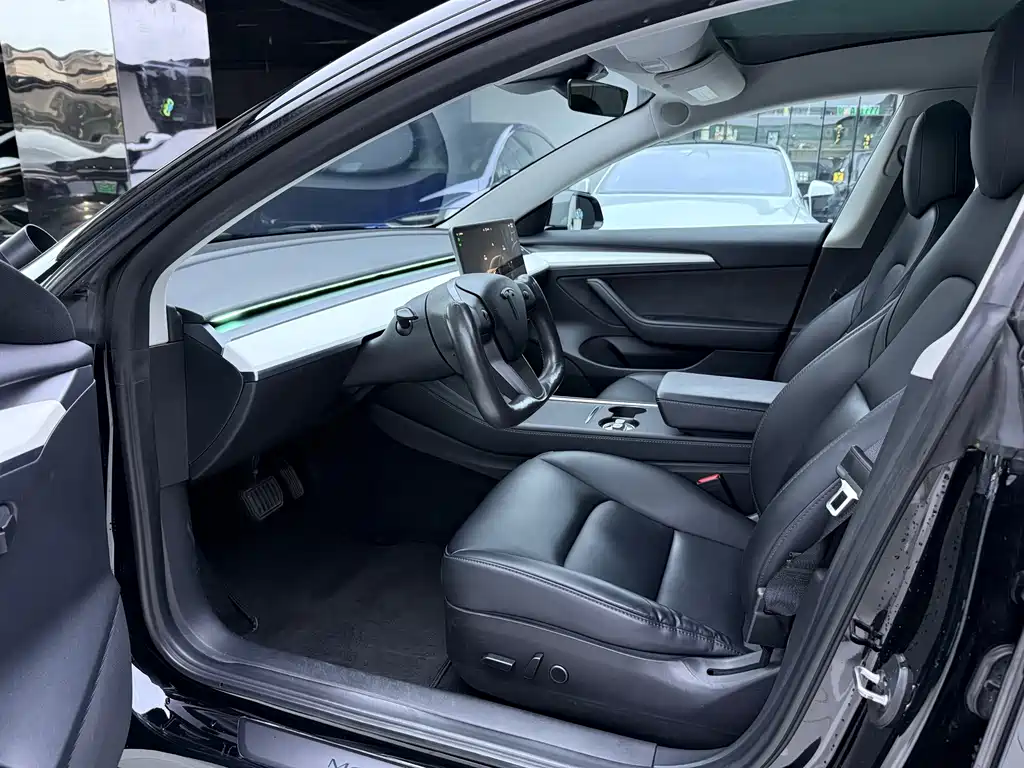 Tesla Model 3 — миниатюра 4