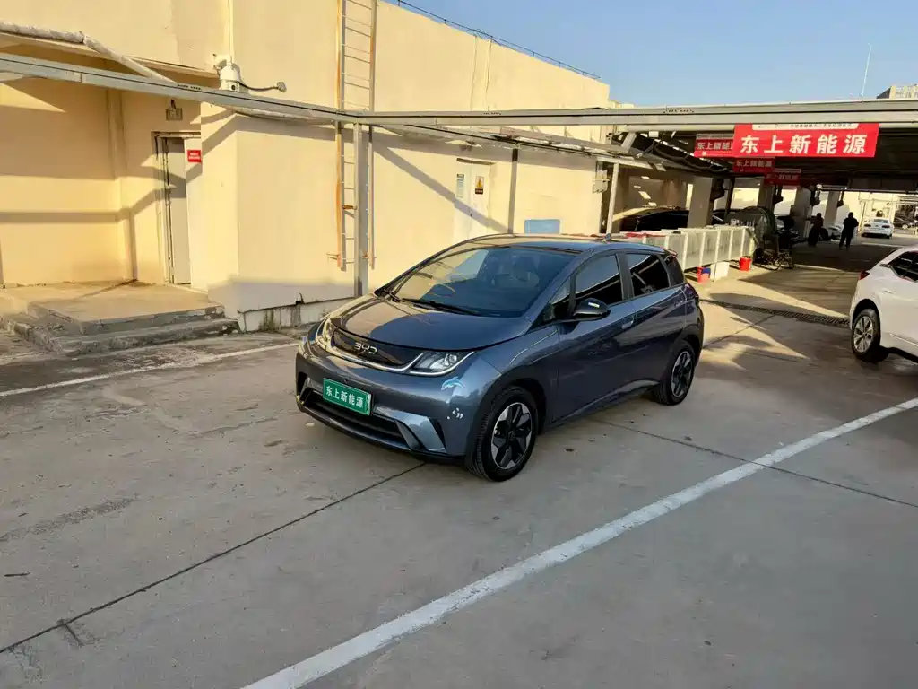 BYD Dolphin — миниатюра 2