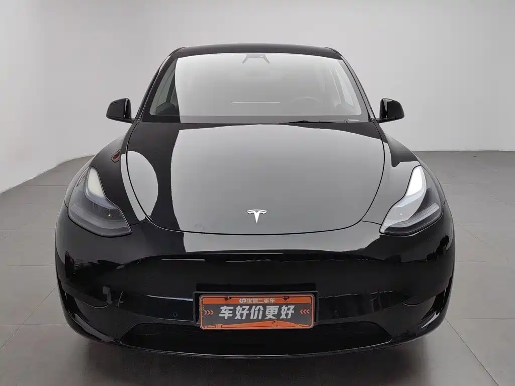 Tesla Model Y — миниатюра 3