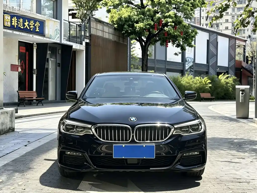 BMW 5 Series 2019