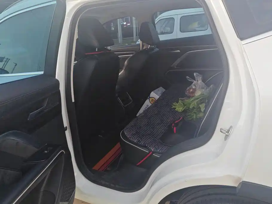 Haval H6 — миниатюра 11