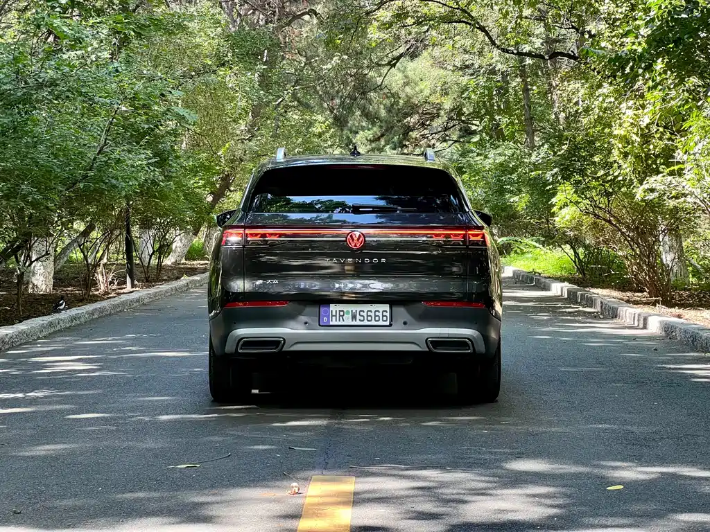 Volkswagen Tavendor — миниатюра 8