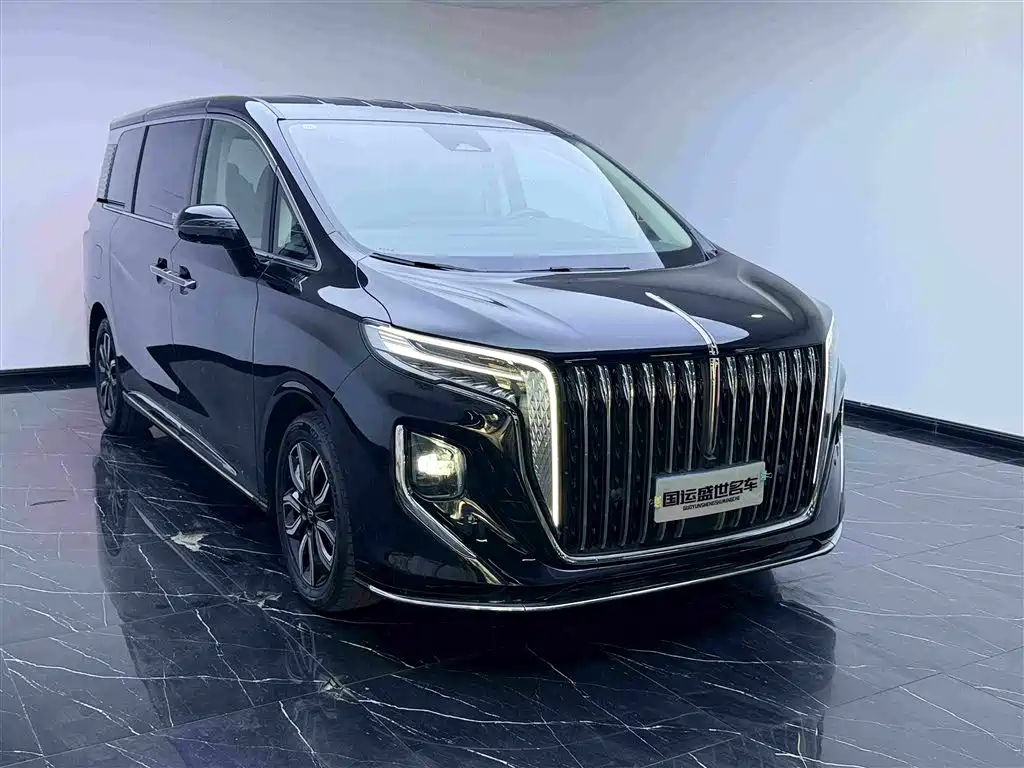 Hongqi Hongqi HQ9 — миниатюра 3