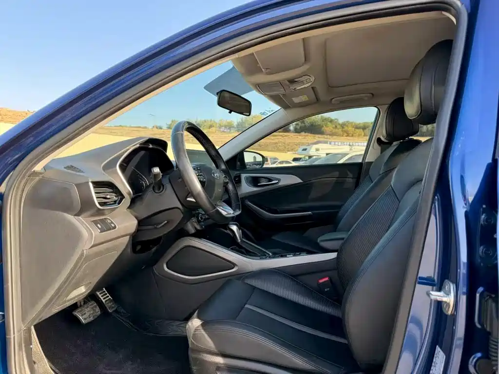 Hyundai Fista — миниатюра 4