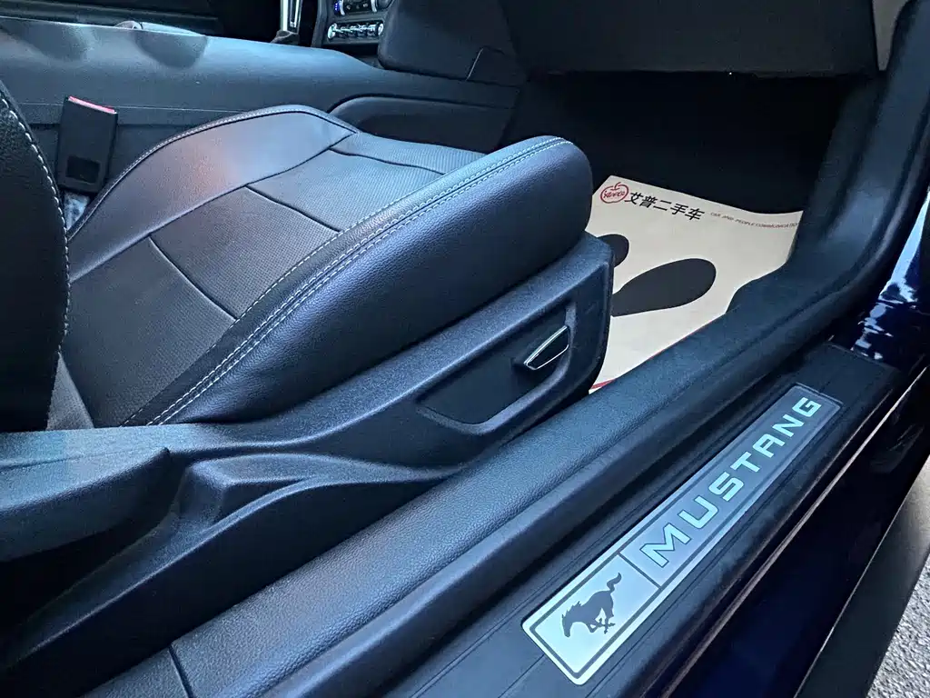 Ford Mustang — миниатюра 11
