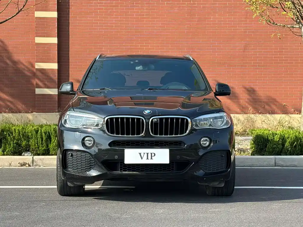 BMW X5 (Import) — миниатюра 2