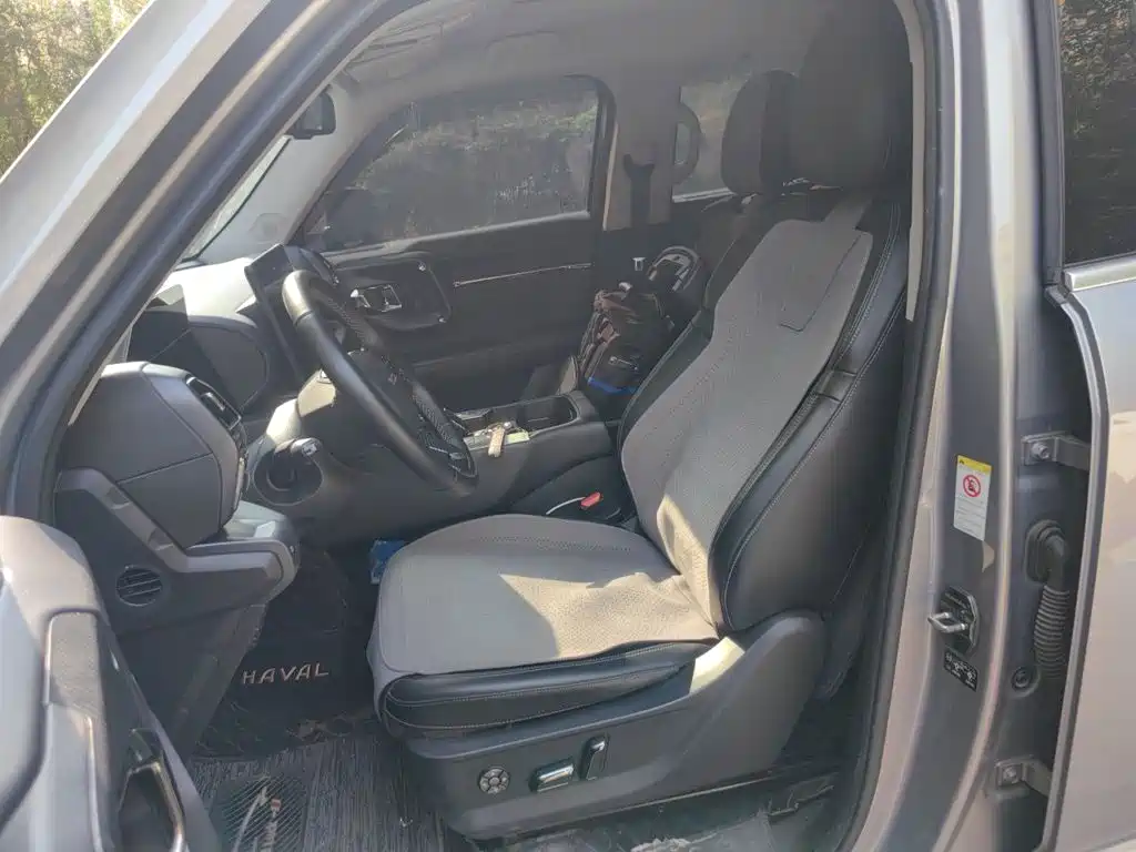 Haval Big Dog PLUS New Energy — миниатюра 11
