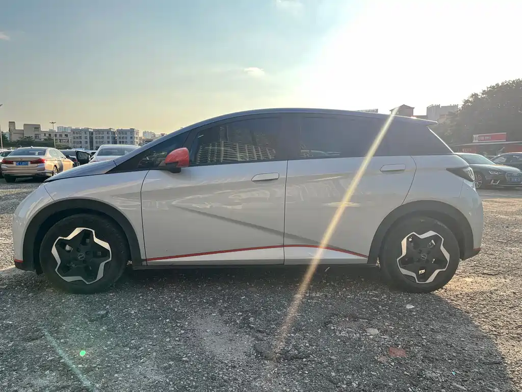 BYD Dolphin 2021 405km Fashion