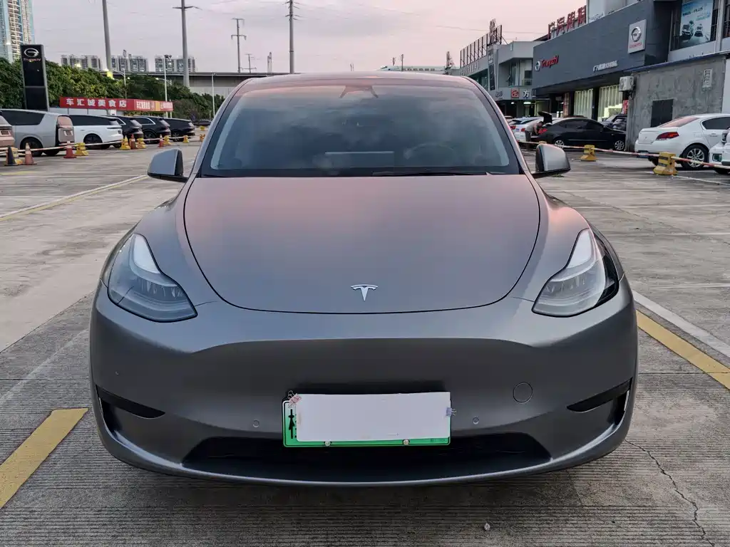 Tesla Model Y — миниатюра 3