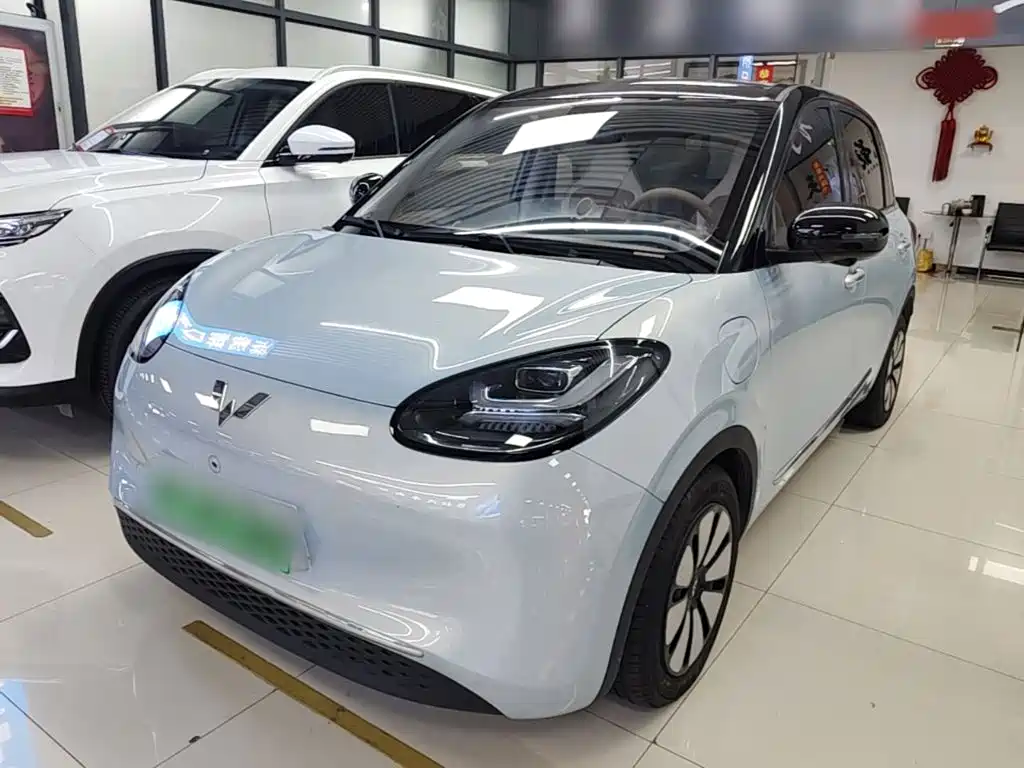Wuling Binguo