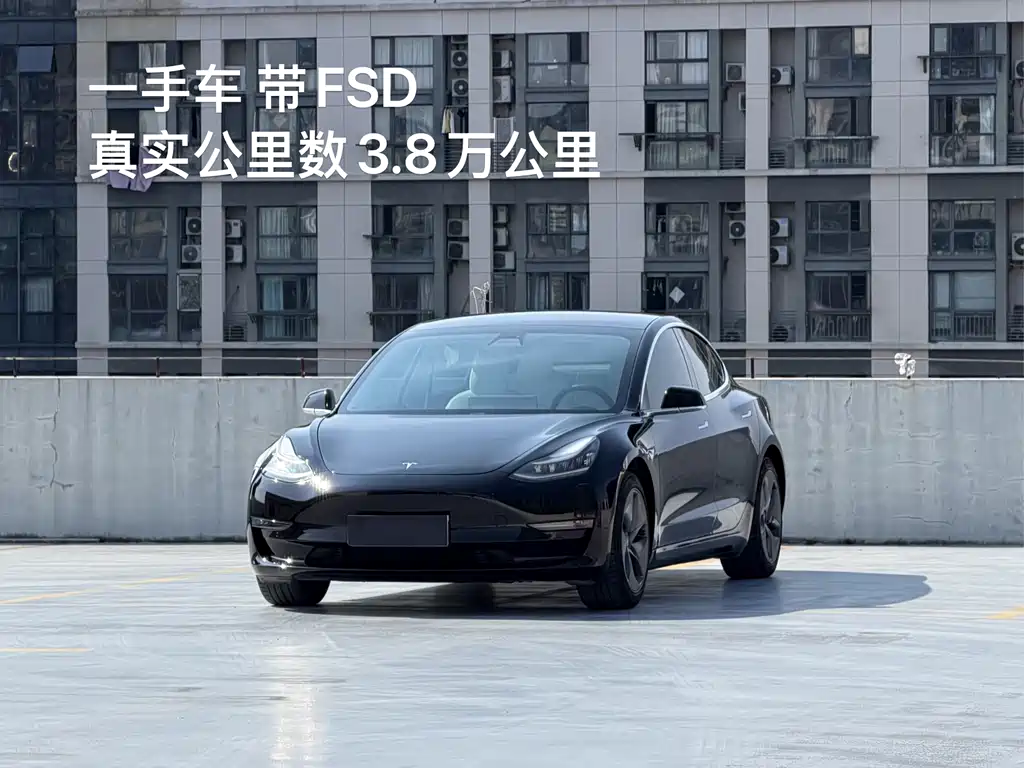 Tesla Model 3 2020