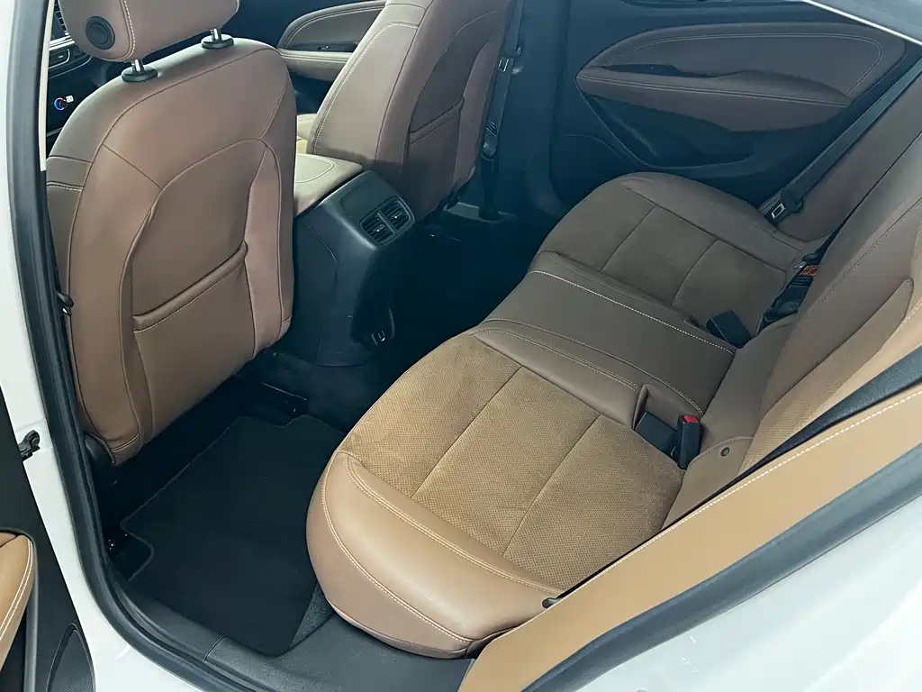 Buick Regal — миниатюра 20