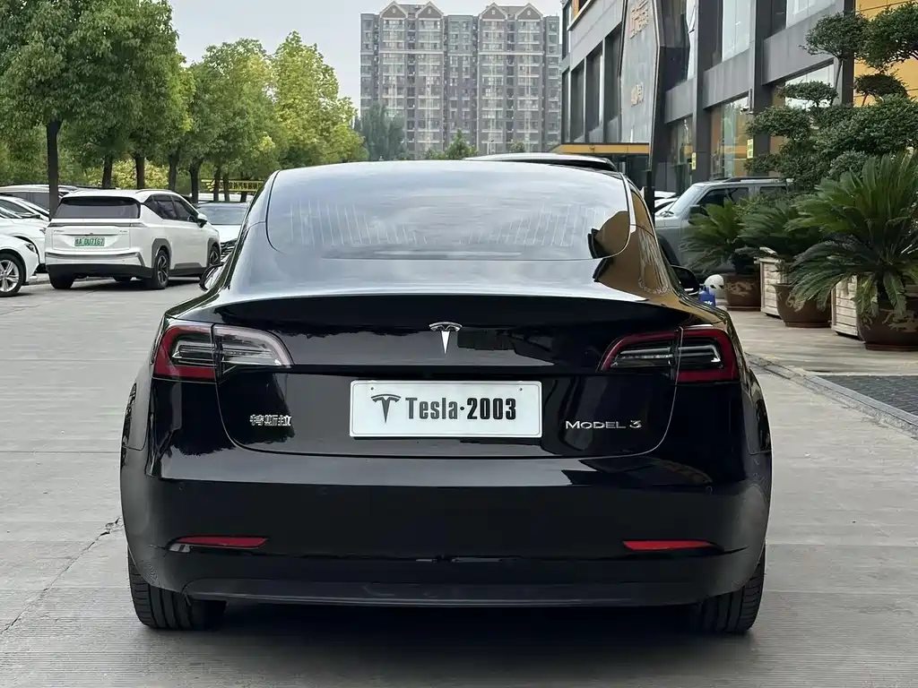 Tesla Model 3 — миниатюра 5