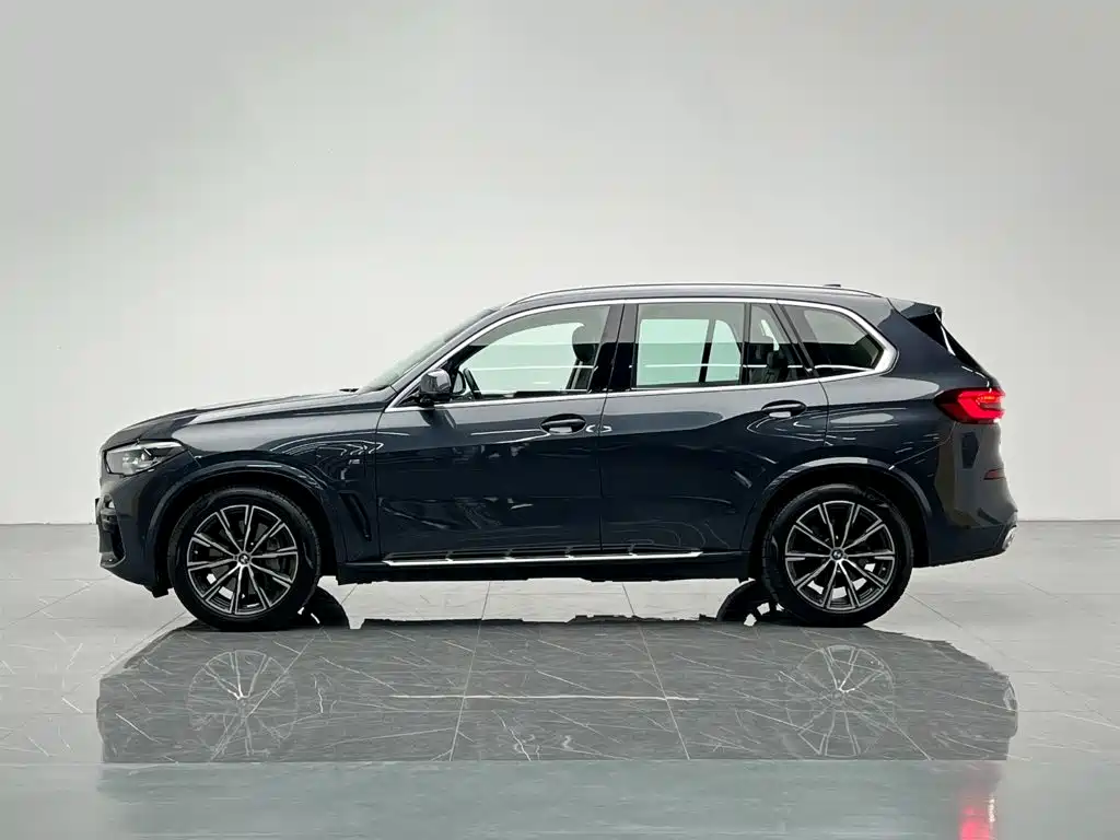 BMW X5 New Energy (Import) — миниатюра 3