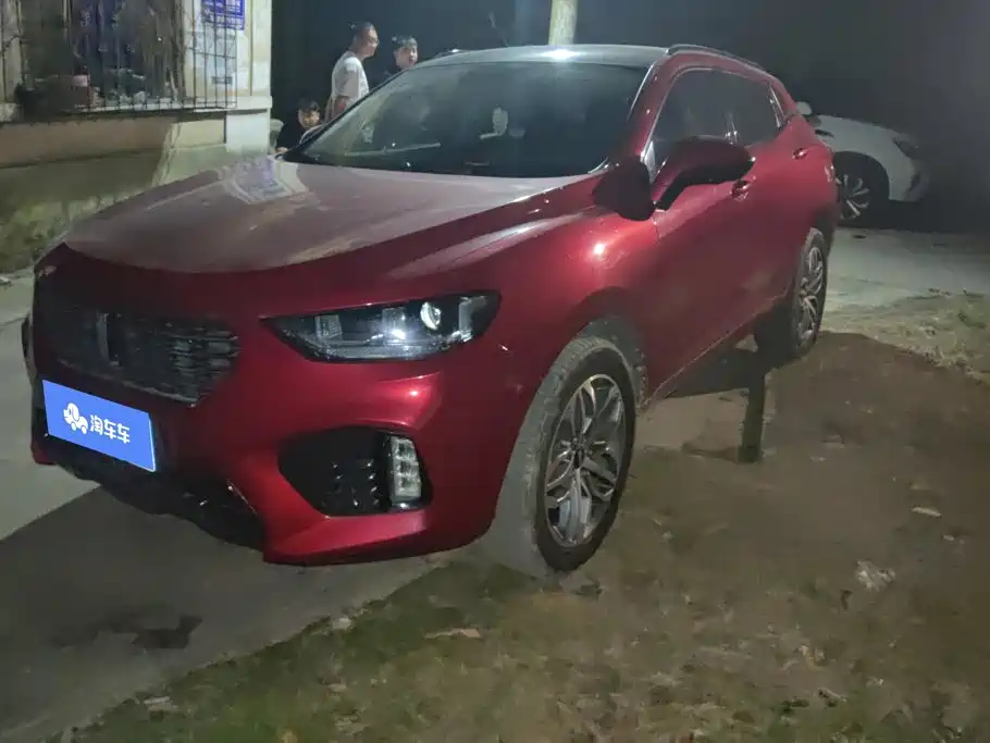Wey Wey VV5