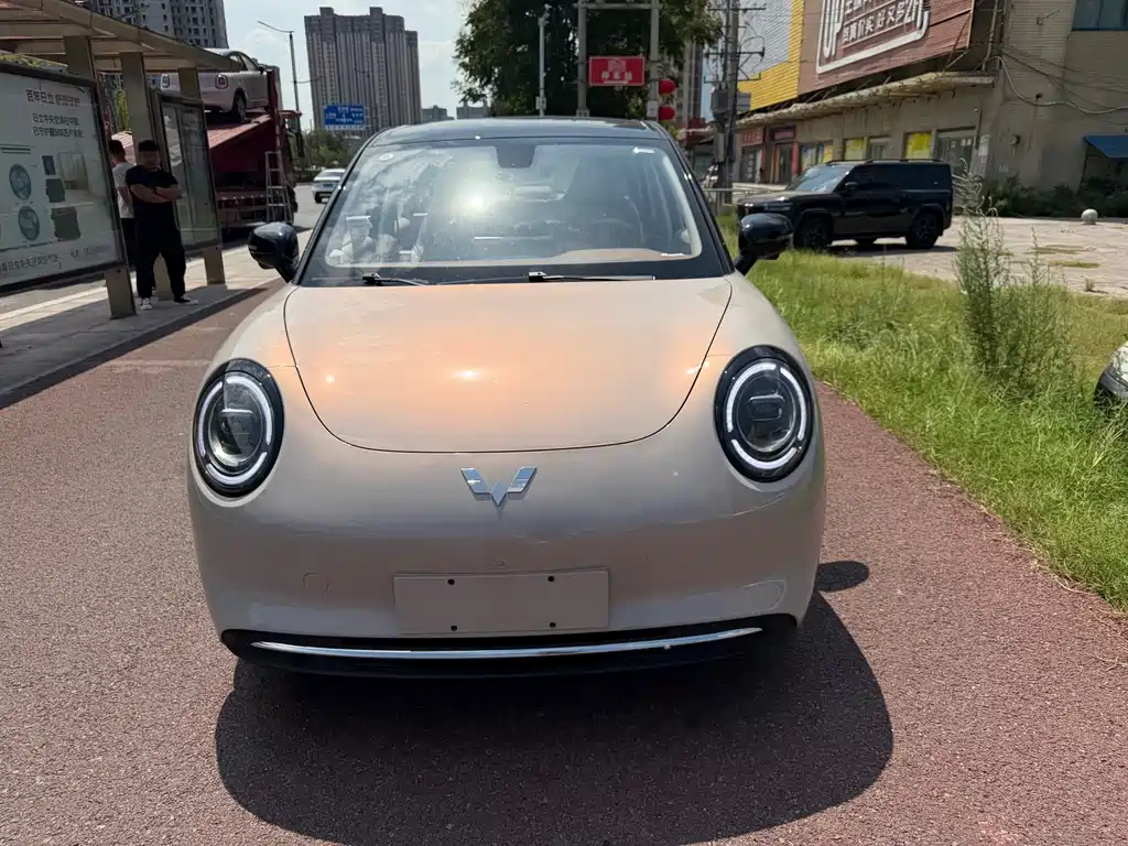 Wuling Bingo Pro — миниатюра 2