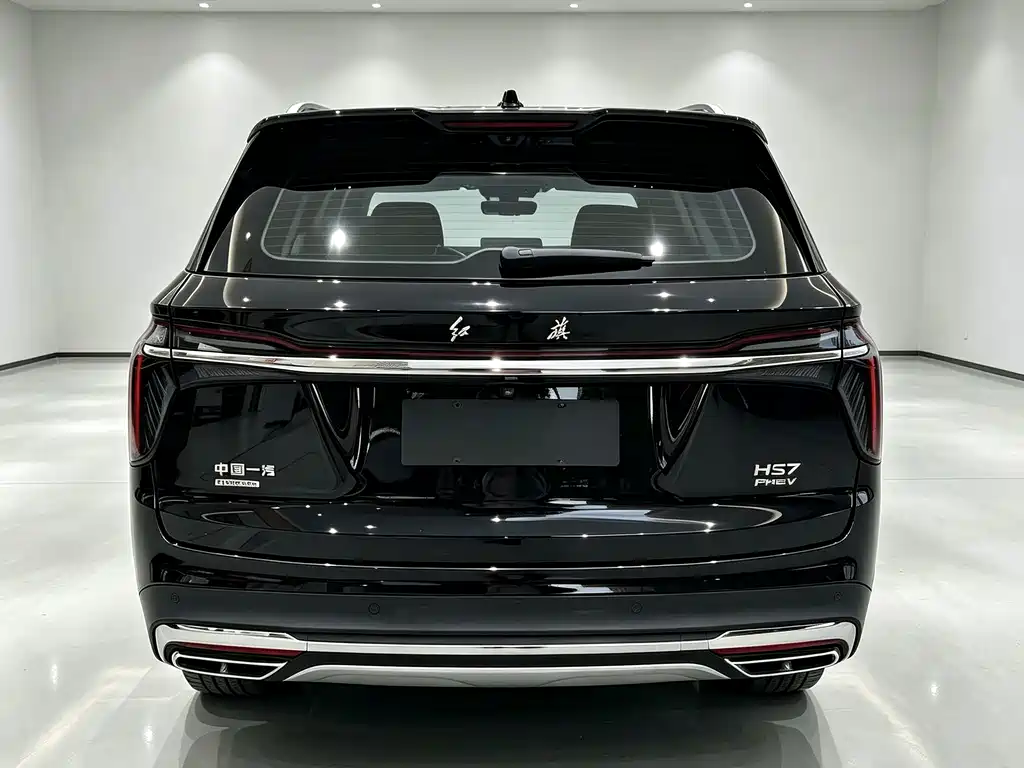 Hongqi Hongqi HS7 PHEV — миниатюра 7