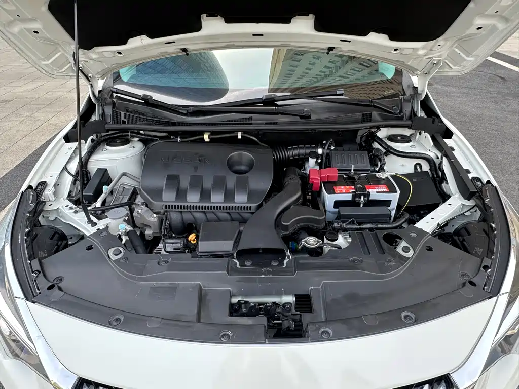 Venucia D60 1.6L CVT Connected Elite Edition, фото 10