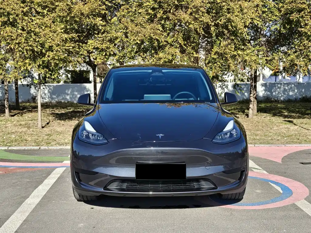 Tesla Model Y — миниатюра 2