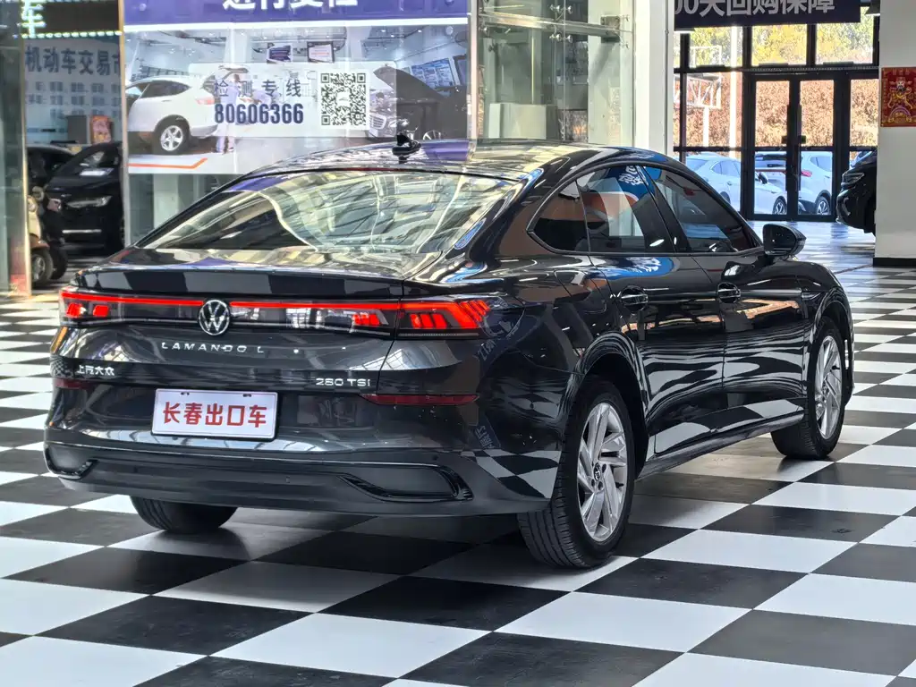 Volkswagen Lamando — миниатюра 4