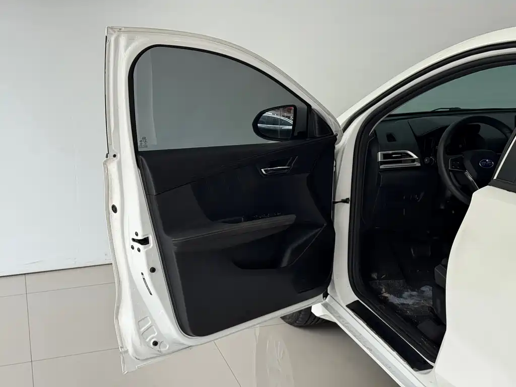 BYD e2 — миниатюра 13