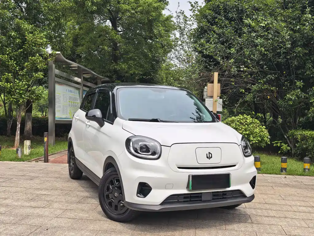 Leapmotor T03 2025 310