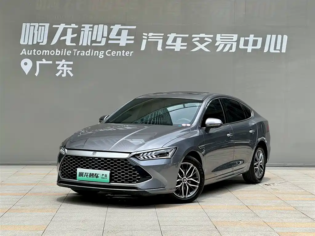 BYD Qin Plus PLUS 2023 Champion DM-i 55KM