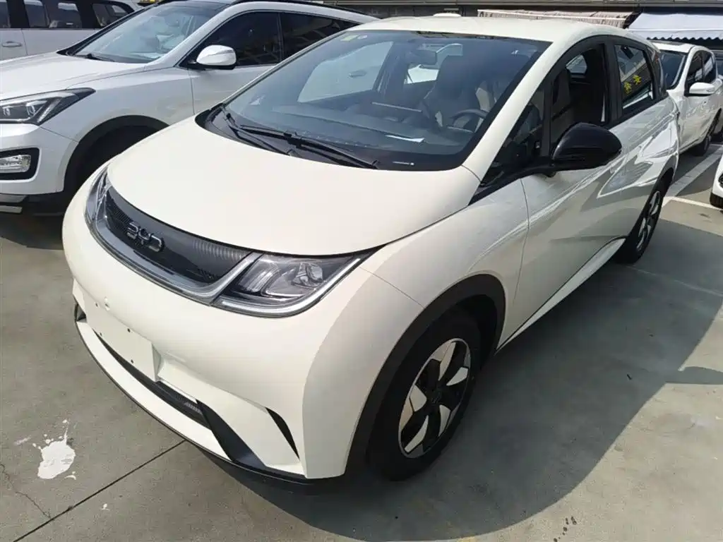 BYD Dolphin 2025 420km Freedom