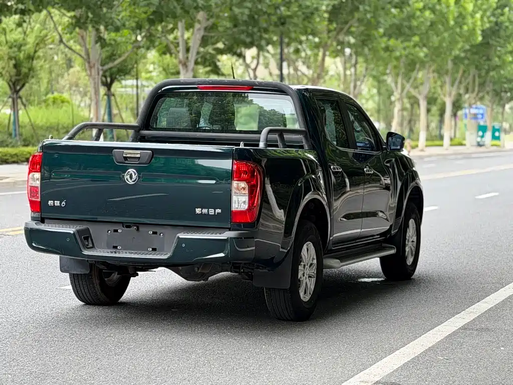 Dongfeng Rich 6 Pro - фото 18