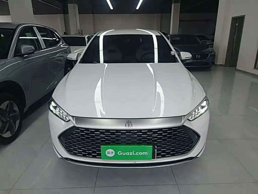 BYD Qin Plus PLUS 2023 Champion DM-i 55KM Lead
