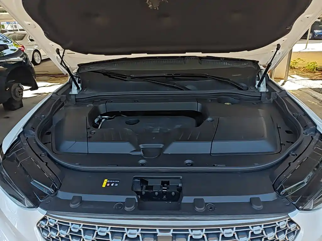 Wey Wey VV6 — миниатюра 20