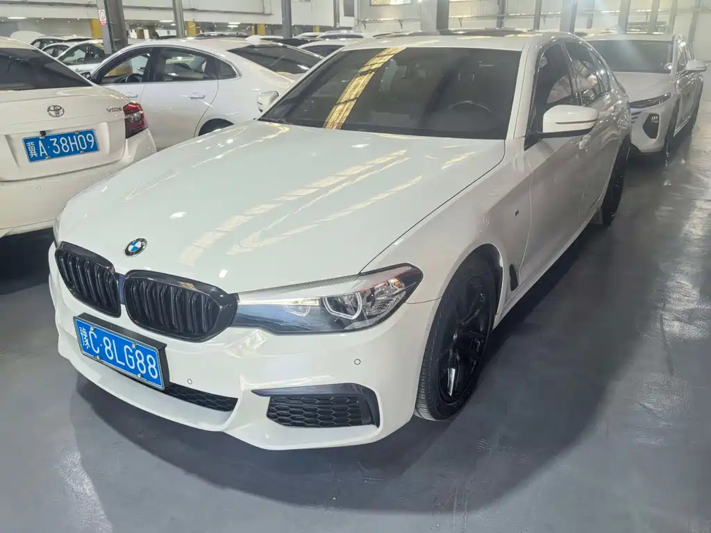 BMW 5 Series (Import)