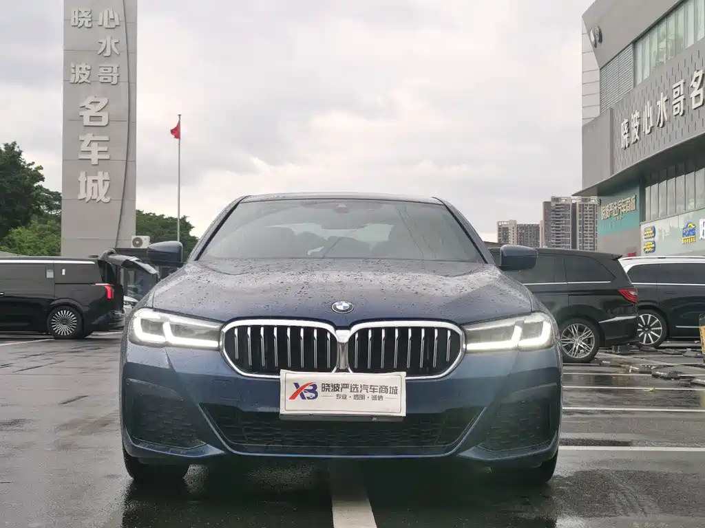 BMW 5 Series (Import) — миниатюра 2