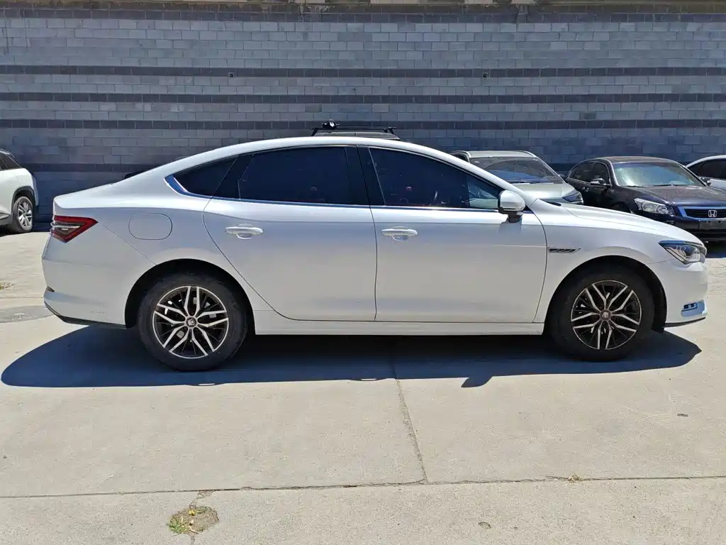BYD Qin Pro Pro 2019 EV Standard
