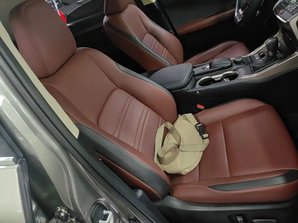 Lexus NX — миниатюра 25